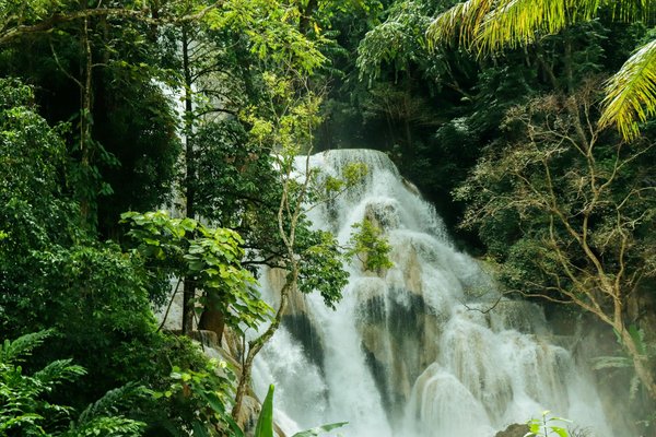 Quelles sont les destinations pour une aventure de trek dans la jungle de Bornéo ?